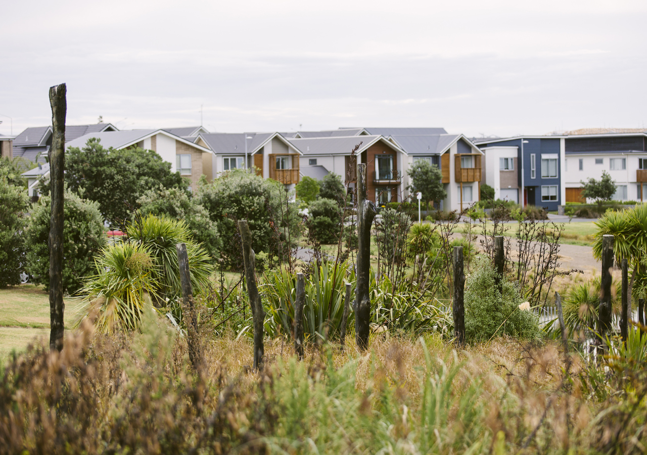 Homes at Hobsonville Point