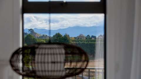 Kaimai Views