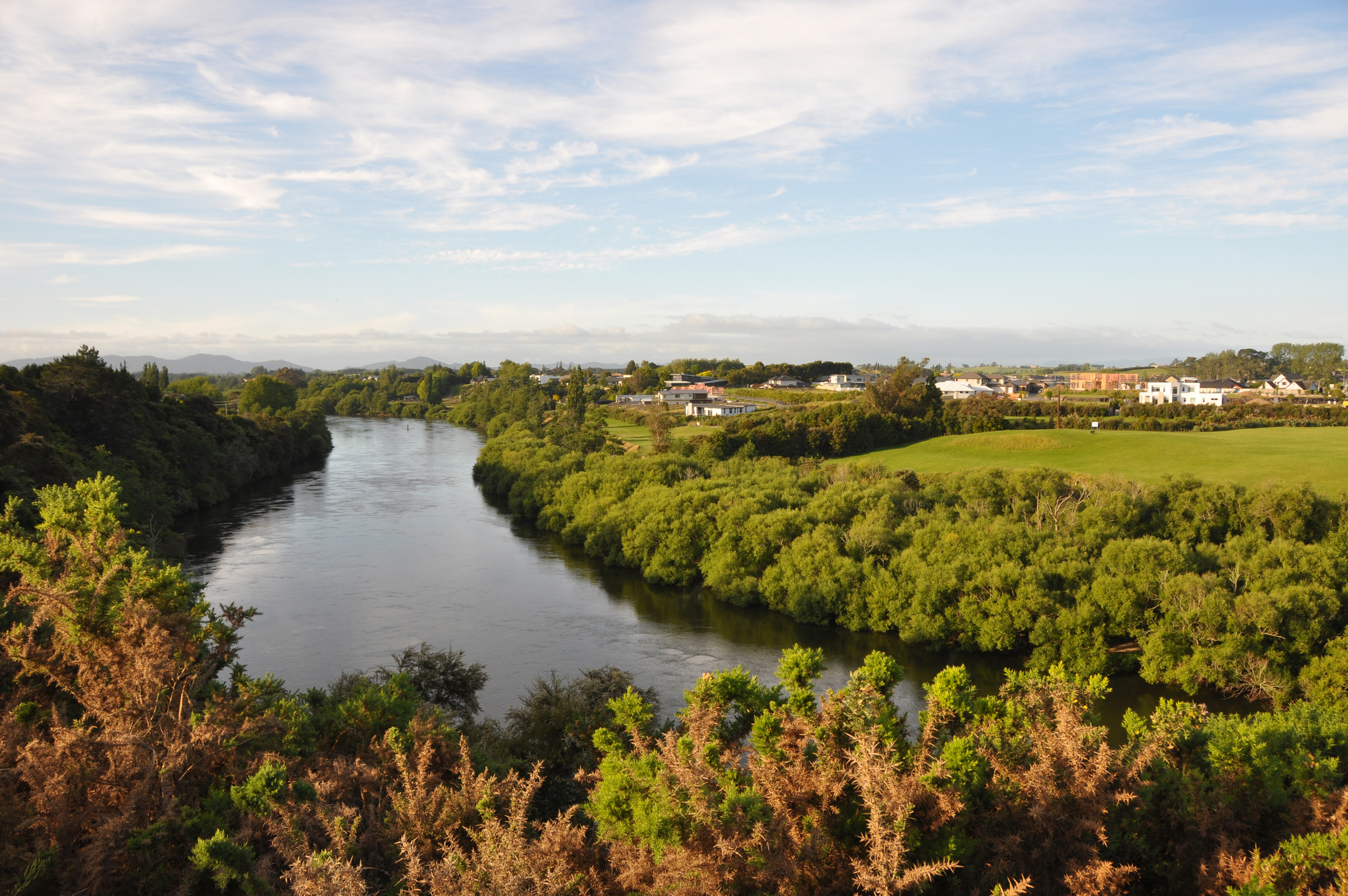 Waikato