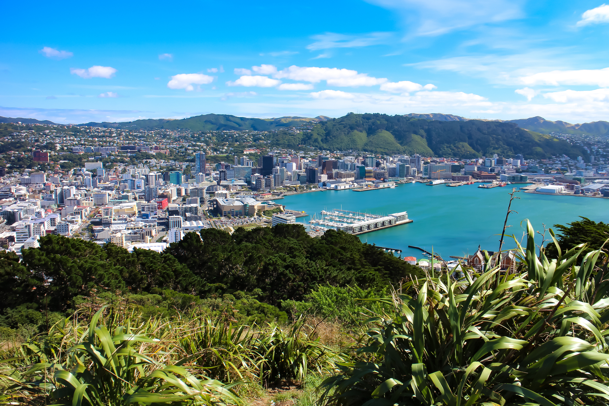 Wellington