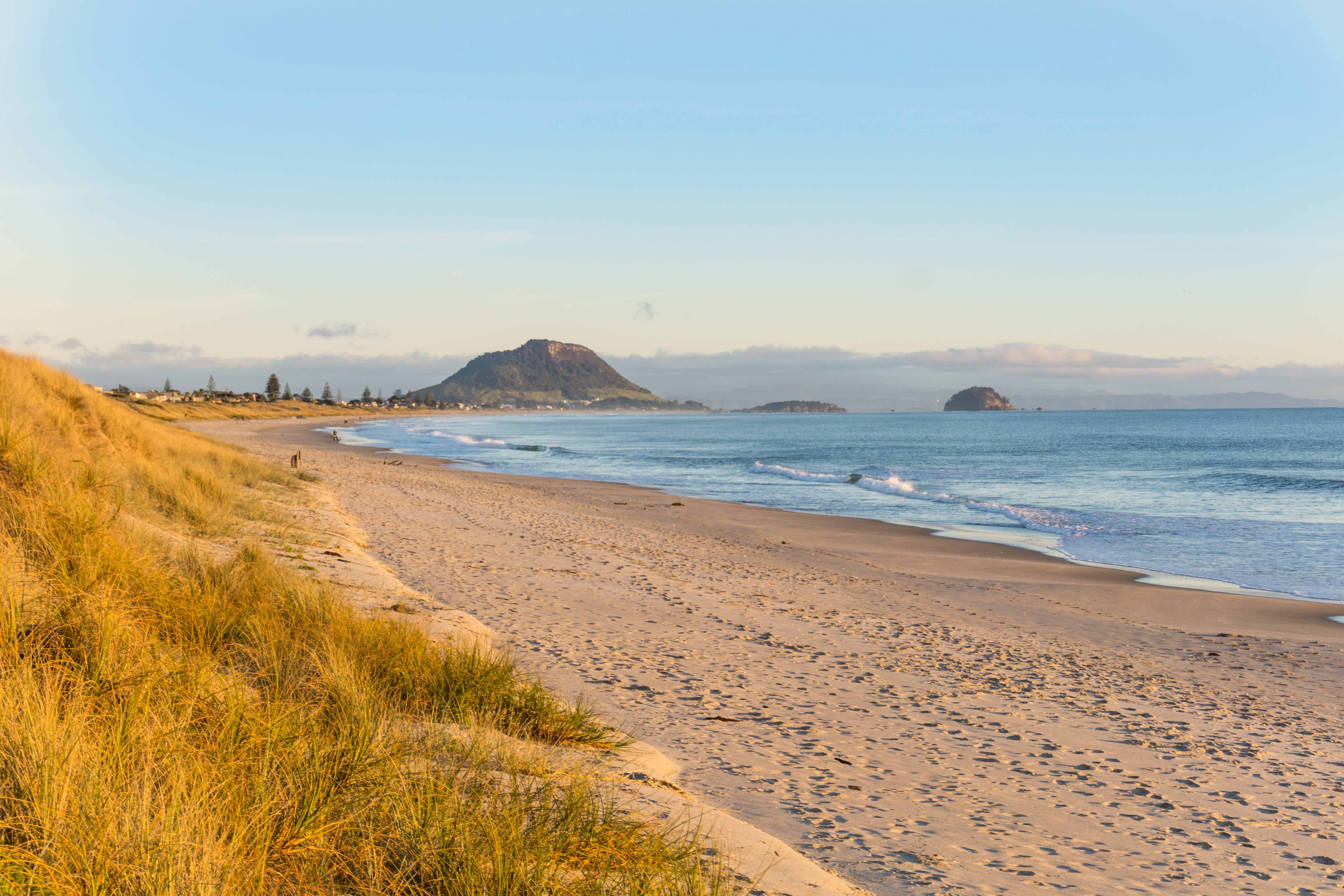 Bay of Plenty
