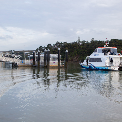 Hobsonville Point Ferry