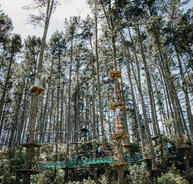 Bombay S Best Kept Secret Adrenalin Forest