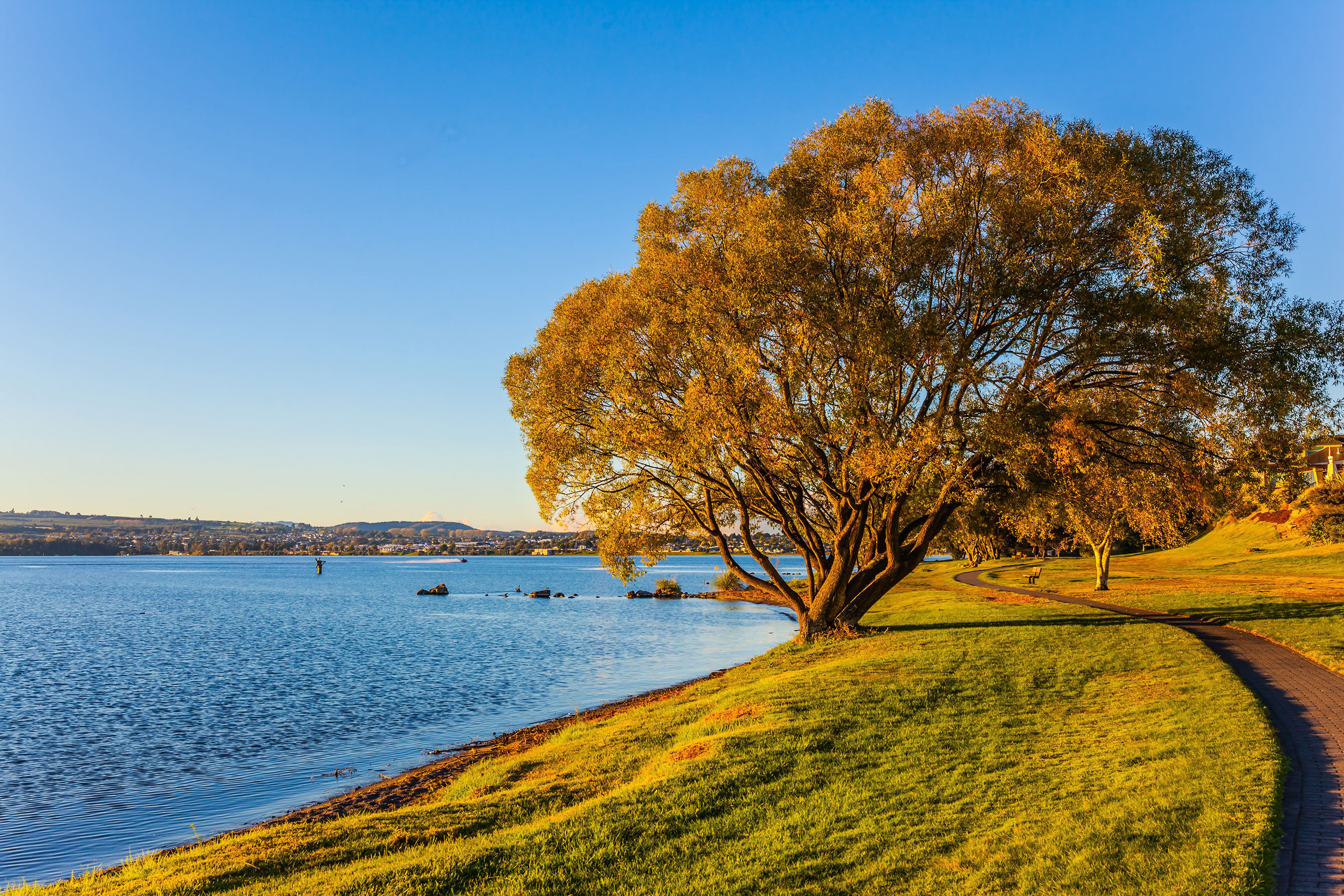 Rotorua