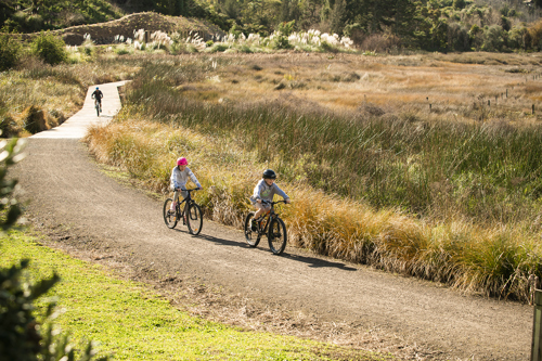 Omokoroa Cycleway